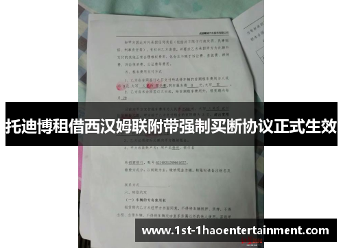 托迪博租借西汉姆联附带强制买断协议正式生效 托迪博租借西汉姆联附带强制买断协议正式生效